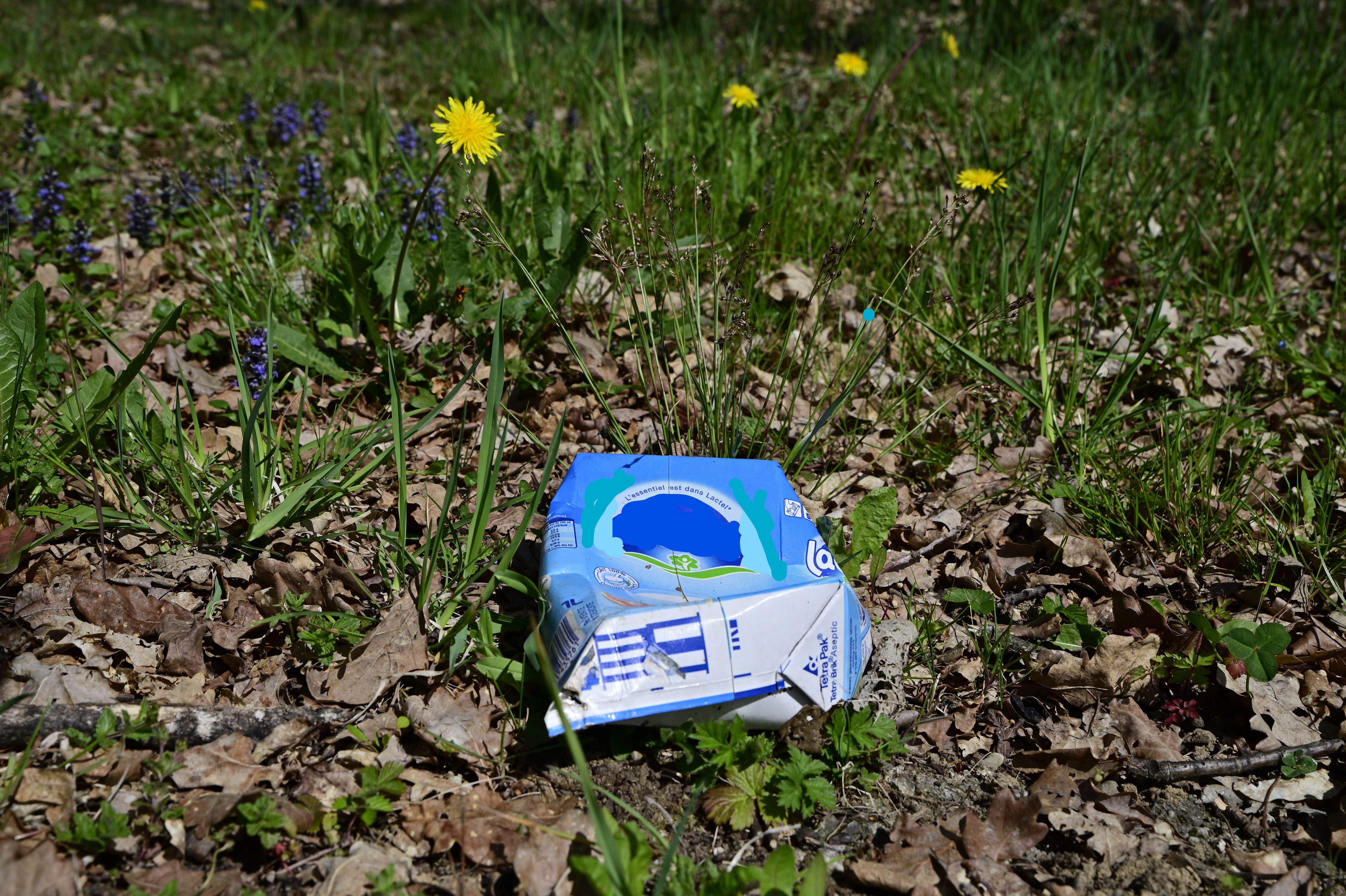 Art et Déchets