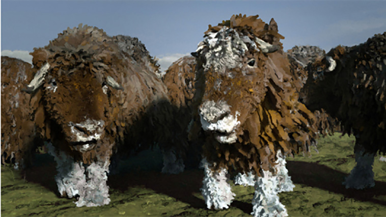 Ox