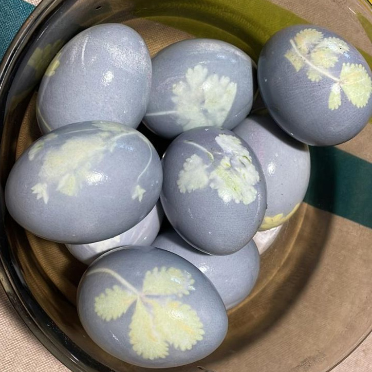 Oeufs