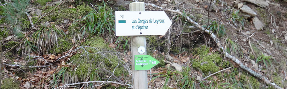 Leyvaux