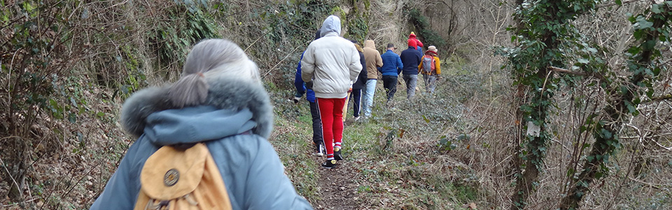 250116-randonnee-10-pano.jpg