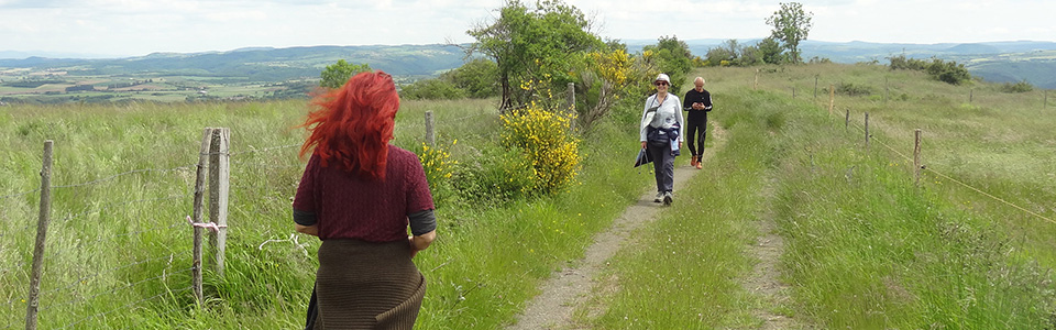 250525-randonnee-12-pano.jpg